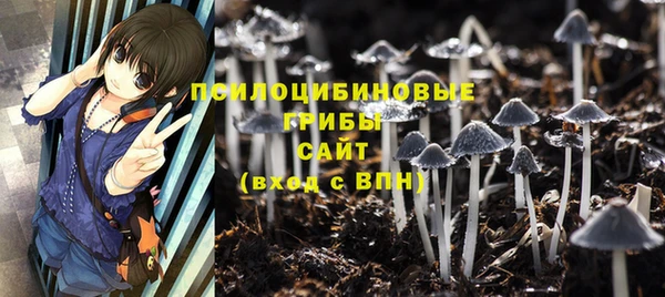 спайс Алексеевка