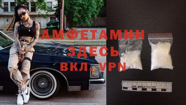 сатива Каменногорск