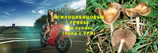 мяу мяу мука Алексин